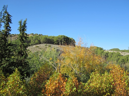 ???????????????????????????????