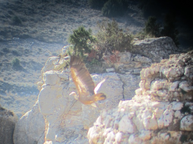 ???????????????????????????????