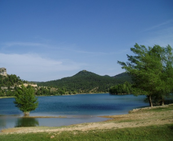 ??????????????????????