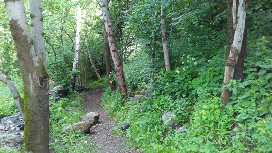 ???????????????????????????????