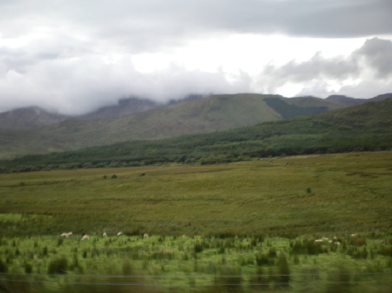 SANYO DIGITAL CAMERA